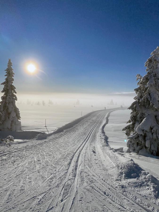 Lys Og Moderne Leilighet Rett Ved Skiloypa Pa Nordseter - Kort Vei Til Sjusjoen, Lillehammer Og Hafjell - Dyr Ikke Tillatt المظهر الخارجي الصورة