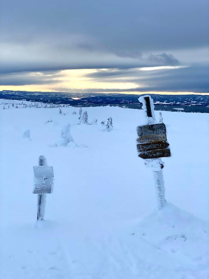 Lys Og Moderne Leilighet Rett Ved Skiloypa Pa Nordseter - Kort Vei Til Sjusjoen, Lillehammer Og Hafjell - Dyr Ikke Tillatt المظهر الخارجي الصورة